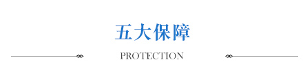 五大保障
